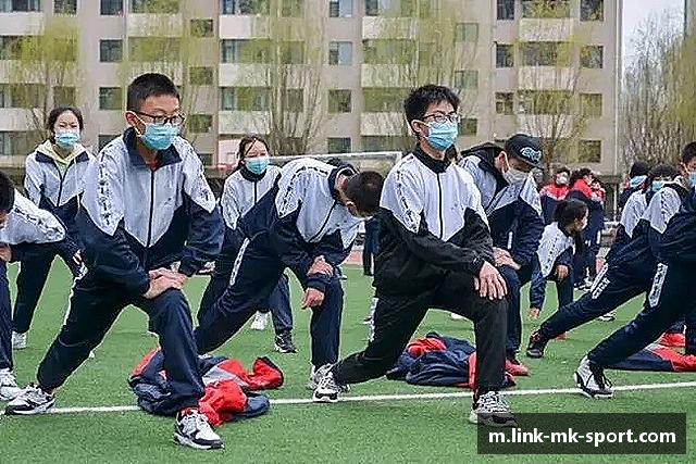 介绍MK体育APP